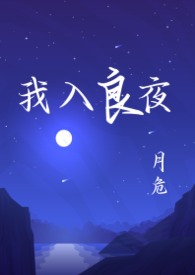 我入良夜（强取豪夺）